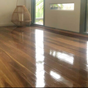 Floor Cleaners & Care