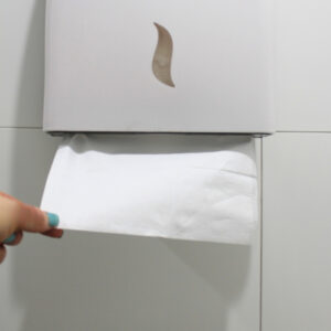 Paper Towel Dispenser